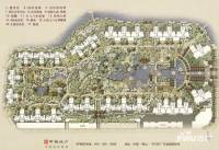 中海千灯湖1号规划图图片