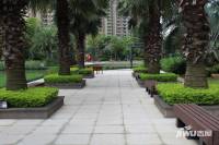 乐从雅居乐花园实景图图片