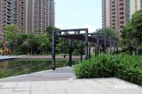乐从雅居乐花园实景图图片