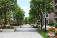 乐从雅居乐花园实景图图片