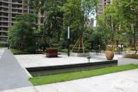 乐从雅居乐花园实景图图片