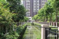 乐从雅居乐花园实景图图片