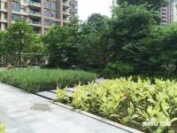 乐从雅居乐花园实景图图片