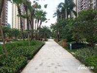 乐从雅居乐花园实景图图片
