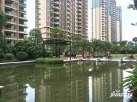 乐从雅居乐花园实景图图片