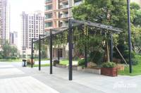 乐从雅居乐花园实景图图片