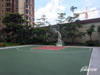 乐从雅居乐花园实景图图片