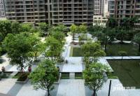 乐从雅居乐花园实景图图片