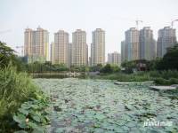 乐从雅居乐花园实景图图片