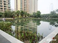 乐从雅居乐花园实景图图片
