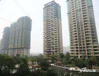 乐从雅居乐花园实景图图片