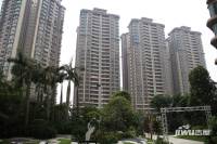 乐从雅居乐花园实景图图片