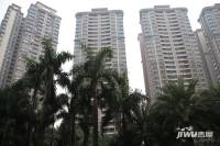 乐从雅居乐花园实景图图片