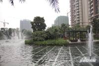 乐从雅居乐花园实景图图片