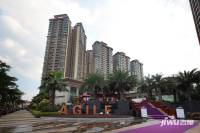 乐从雅居乐花园实景图图片