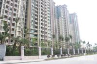 乐从雅居乐花园实景图图片