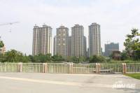 乐从雅居乐花园实景图图片