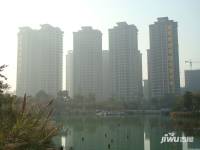 乐从雅居乐花园实景图图片