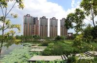 乐从雅居乐花园实景图图片