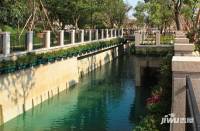 乐从雅居乐花园实景图图片