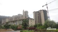 凰樵假日实景图8