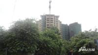凰樵假日实景图8
