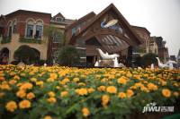 碧桂园城市花园实景图图片