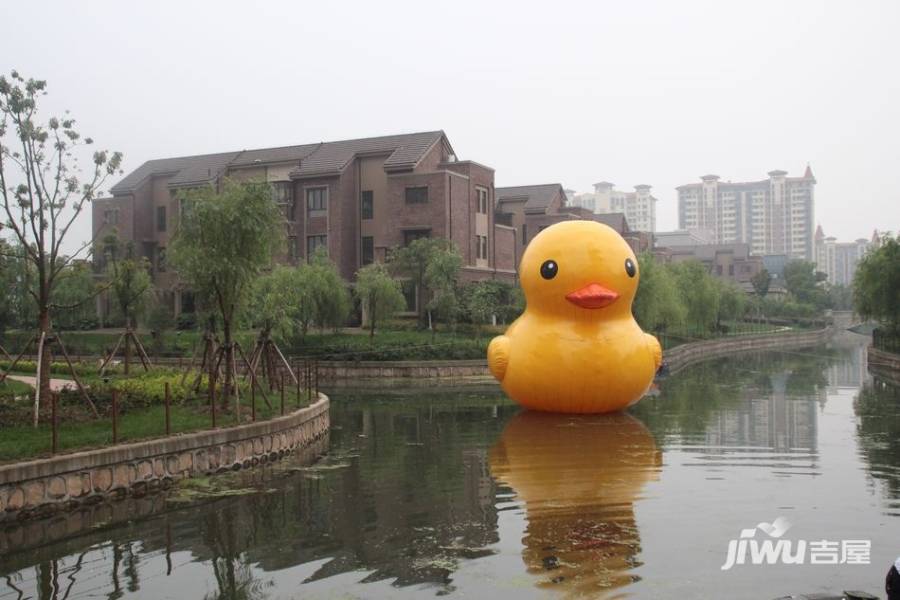 三水萧林实景图图片