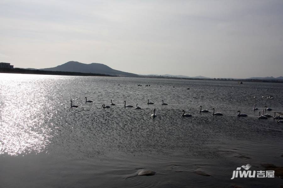 天鹅湖阳光海岸配套图图片