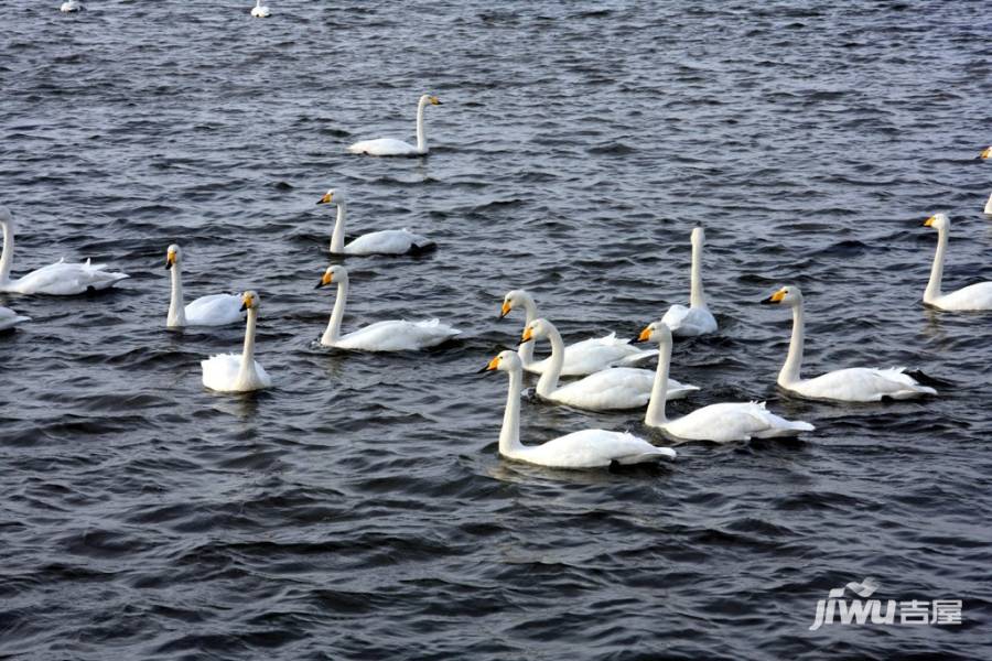 天鹅湖阳光海岸配套图图片