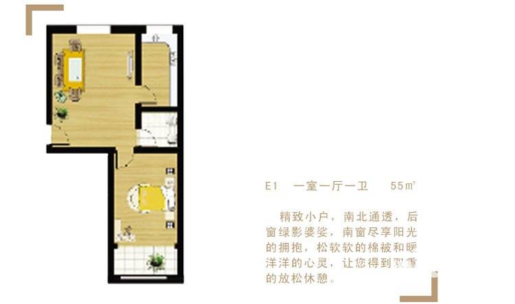 圣海家园普通住宅55㎡户型图